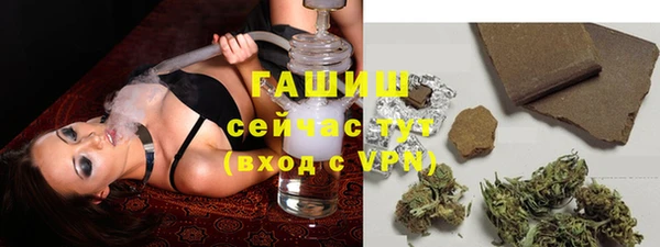 шишки Балахна