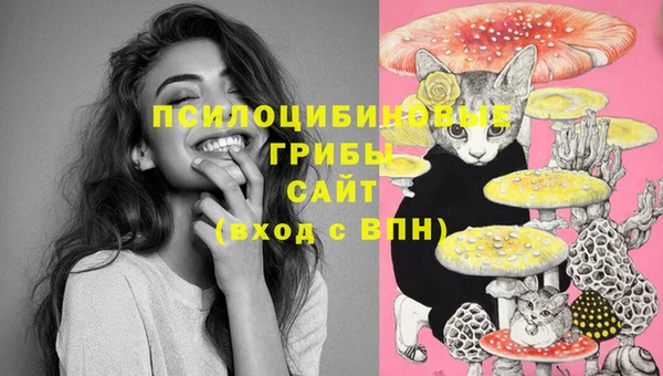 прущая мука Снежногорск