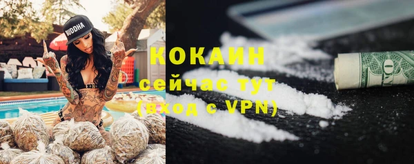 шишки Балахна