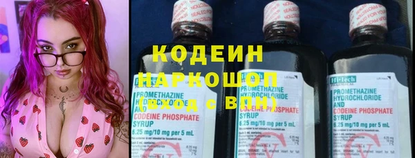 дживик Семилуки
