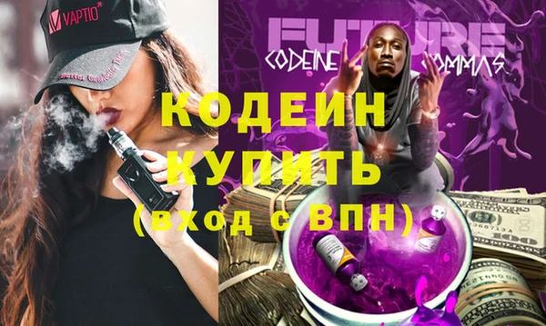 дживик Семилуки