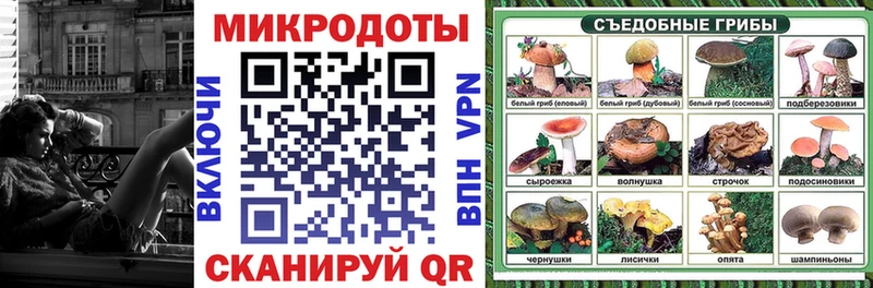 мега ССЫЛКА  маркетплейс клад  Галлюциногенные грибы Cubensis  Новоалтайск 